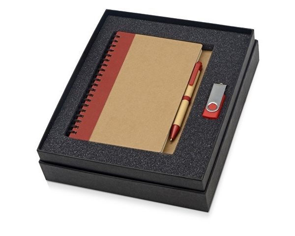 Подарочный набор Essentials с флешкой и блокнотом А5 с ручкой